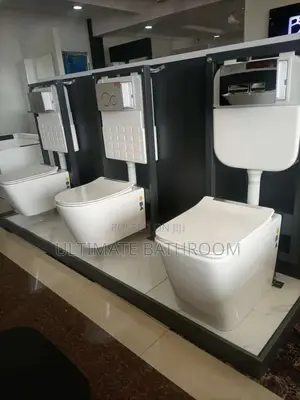Chrome Plate Conceal Watercloset