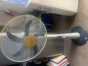 Rechargeable Lontor Standing Fans
