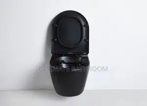 Matt Black Wall Hang Watercloset