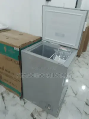 Environment Friendly (95L) Hisense Freezer