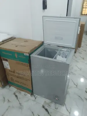 Environment Friendly (FC120SH) Hisense Chest Freezer+ Basket
