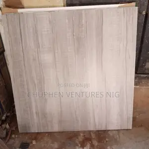60*60 Floor Tiles