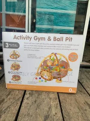 Activity Gym and Ball Pit