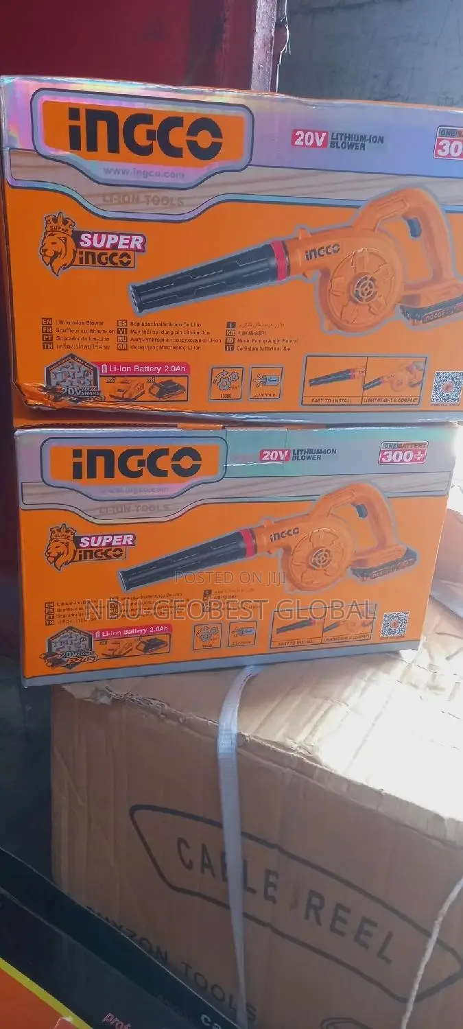 Air Blower Ingco 20v Battery Charger