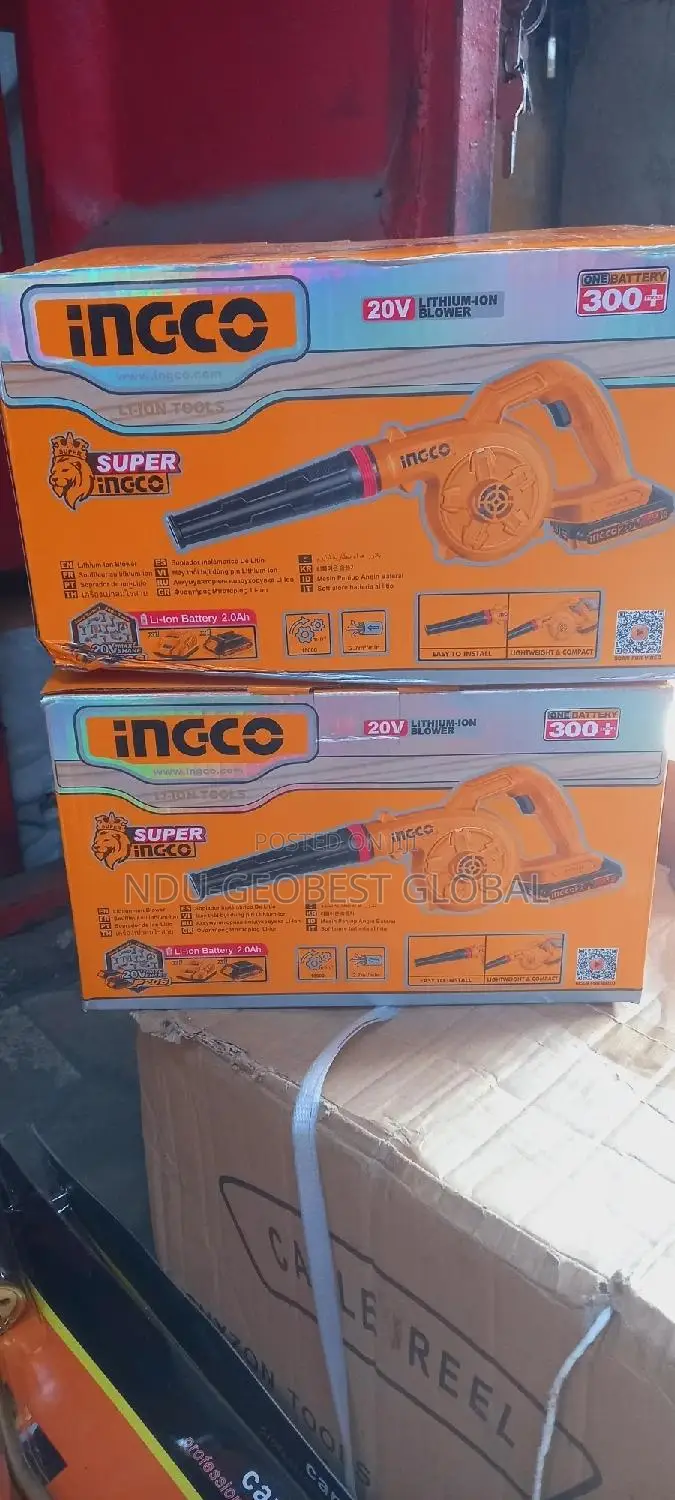 Air Blower Ingco 20v Battery Charger