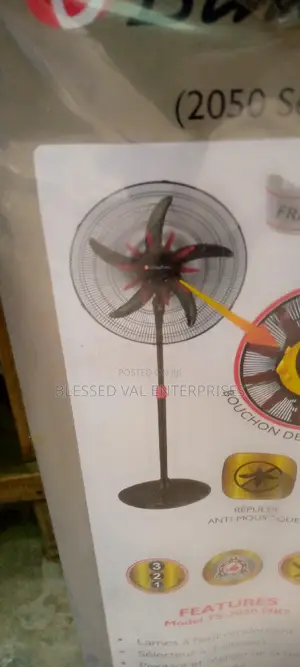 20 Inches Binatone Stand Fan