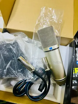 Studio Condenser Microphone With Shock Mount and XLR Cable