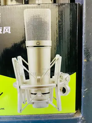 Studio Condenser Microphone With Shock Mount and XLR Cable