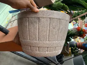 Beautiful Flower Pot