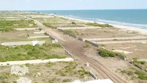 Unveiling the Coastal Oasis
