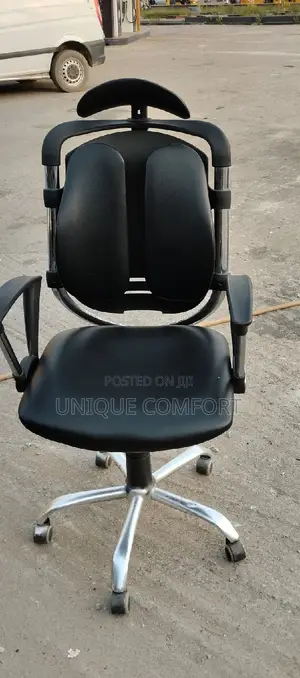 Imported Executive Ergonomic Office Chair