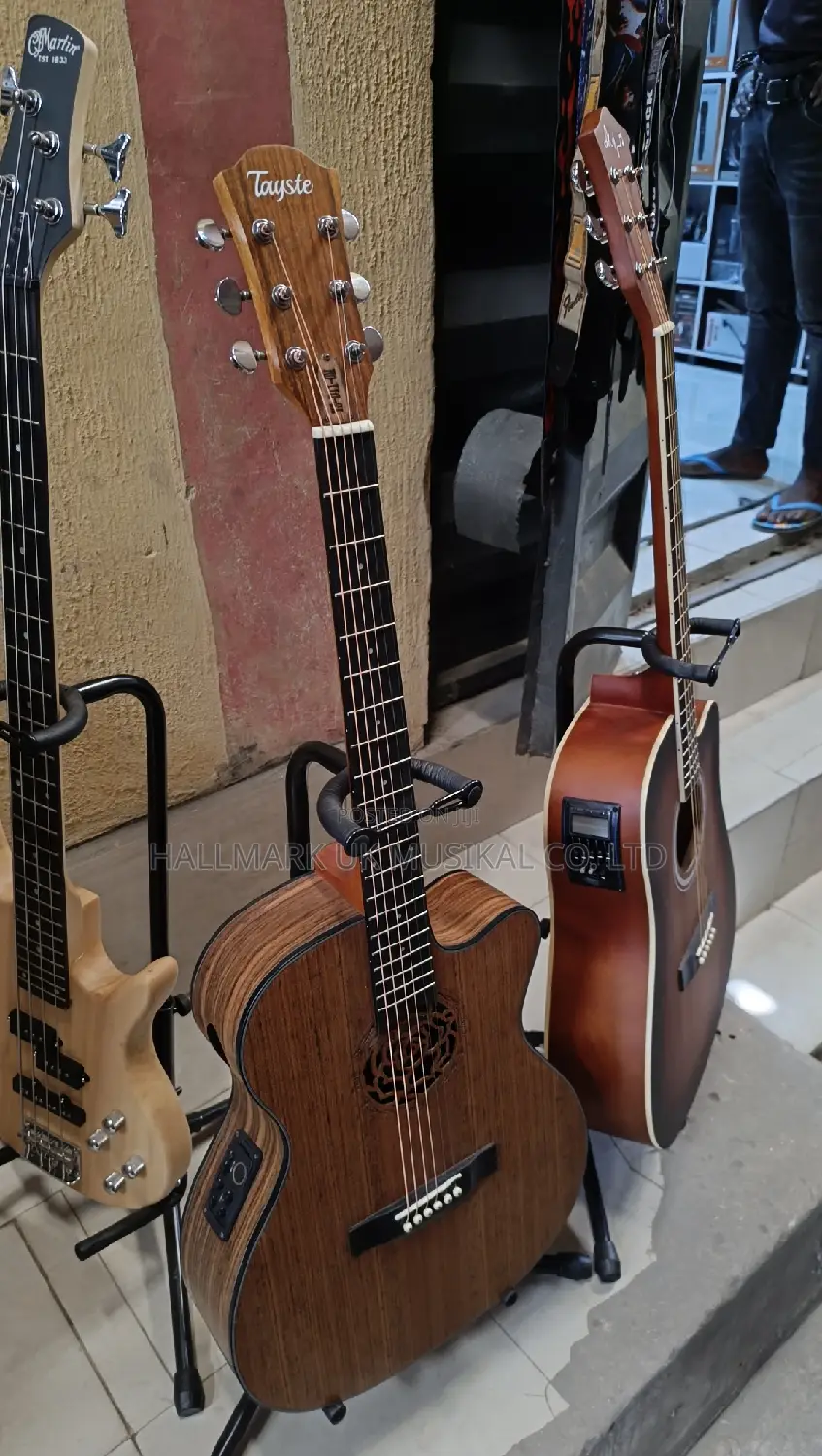 Professional Semi Acoustic Guitar