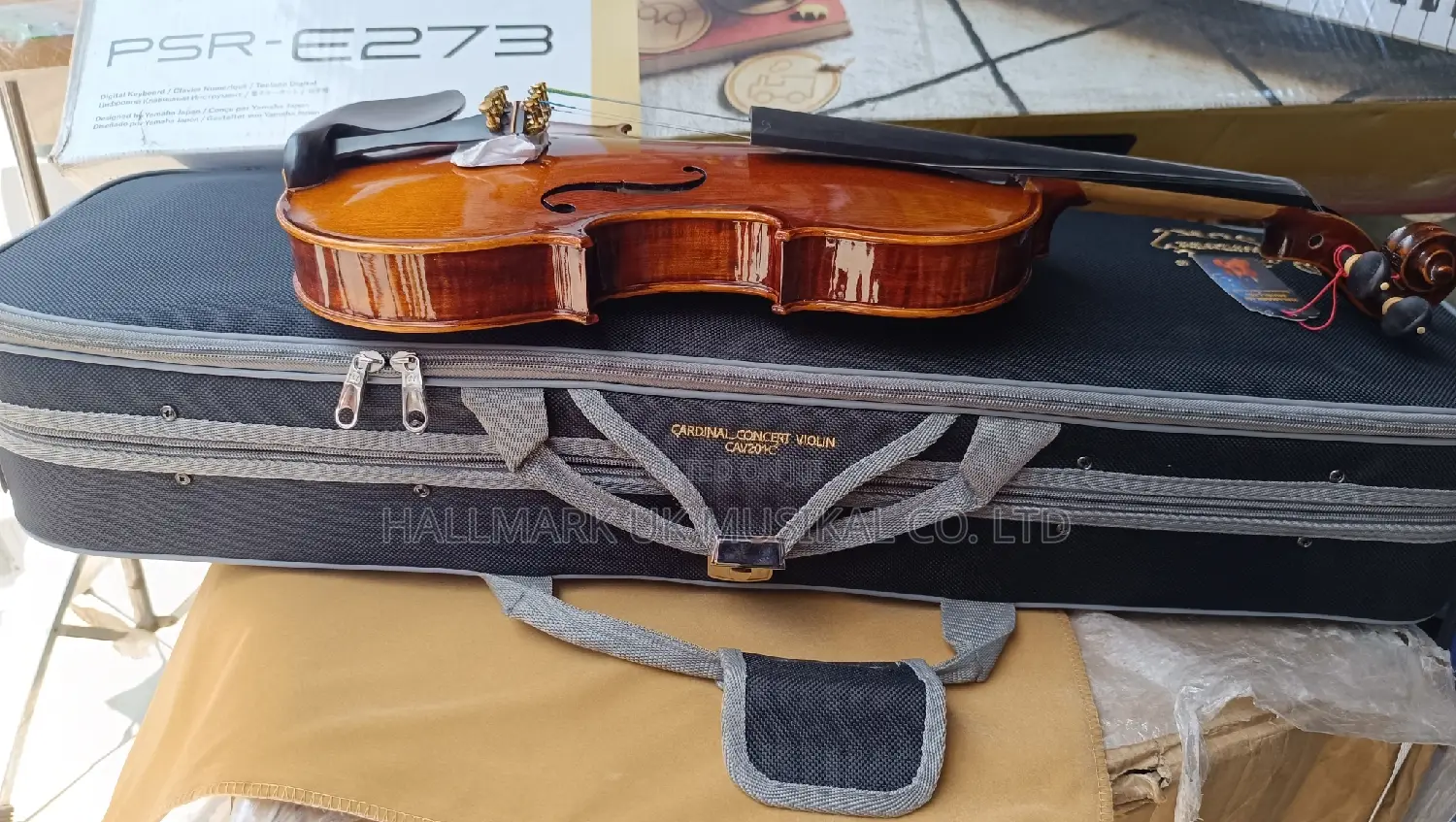 Cardinal Masterpiece Concert Violin