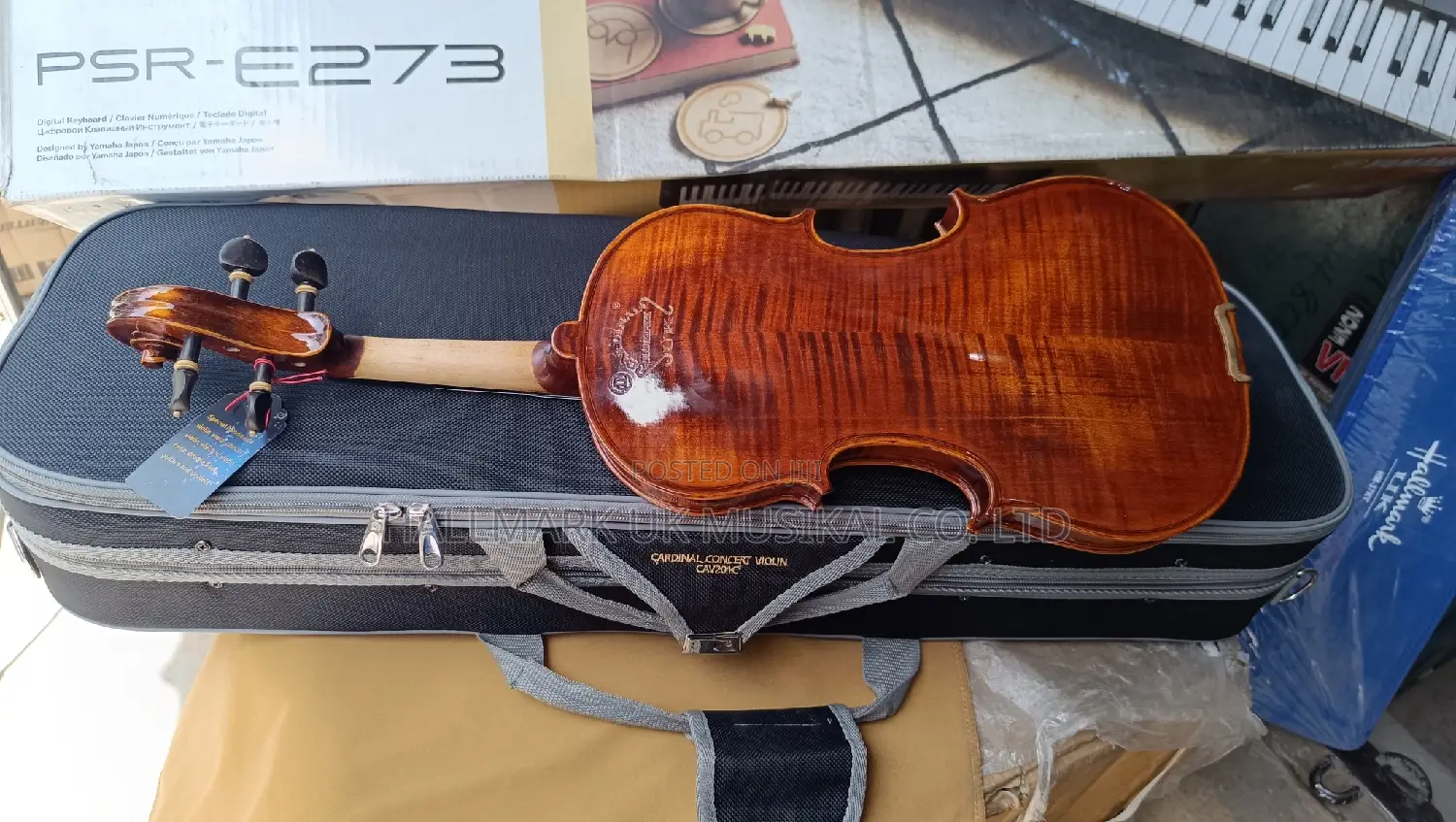 Cardinal Masterpiece Concert Violin