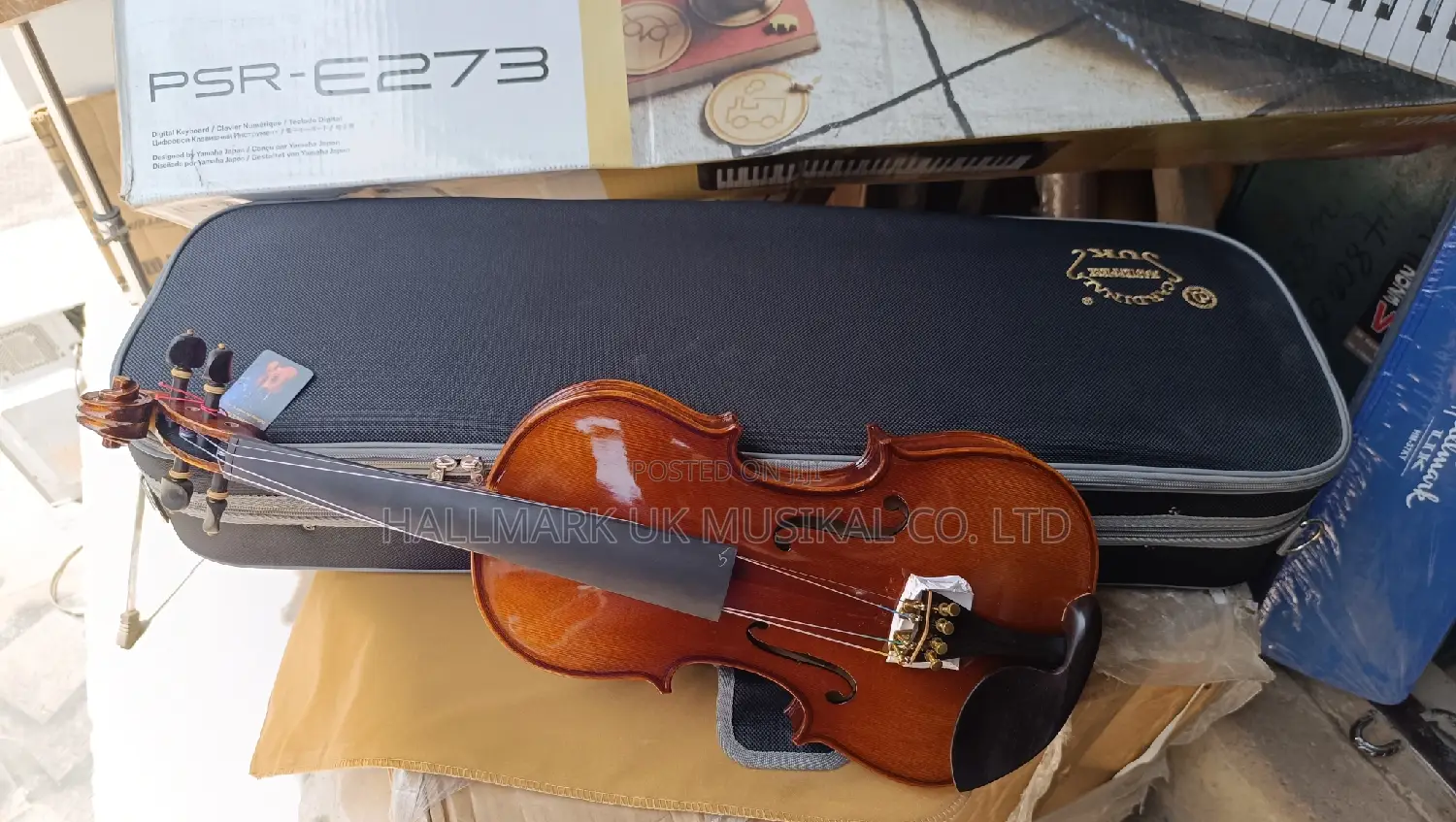 Cardinal Masterpiece Concert Violin