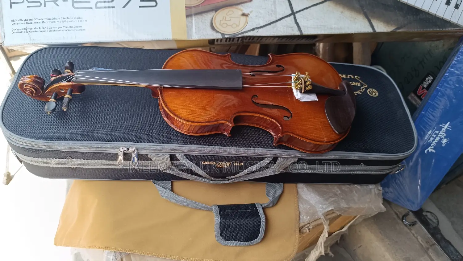 Cardinal Masterpiece Concert Violin