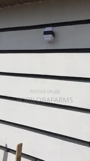 Interior and Exterior Decorations Painting