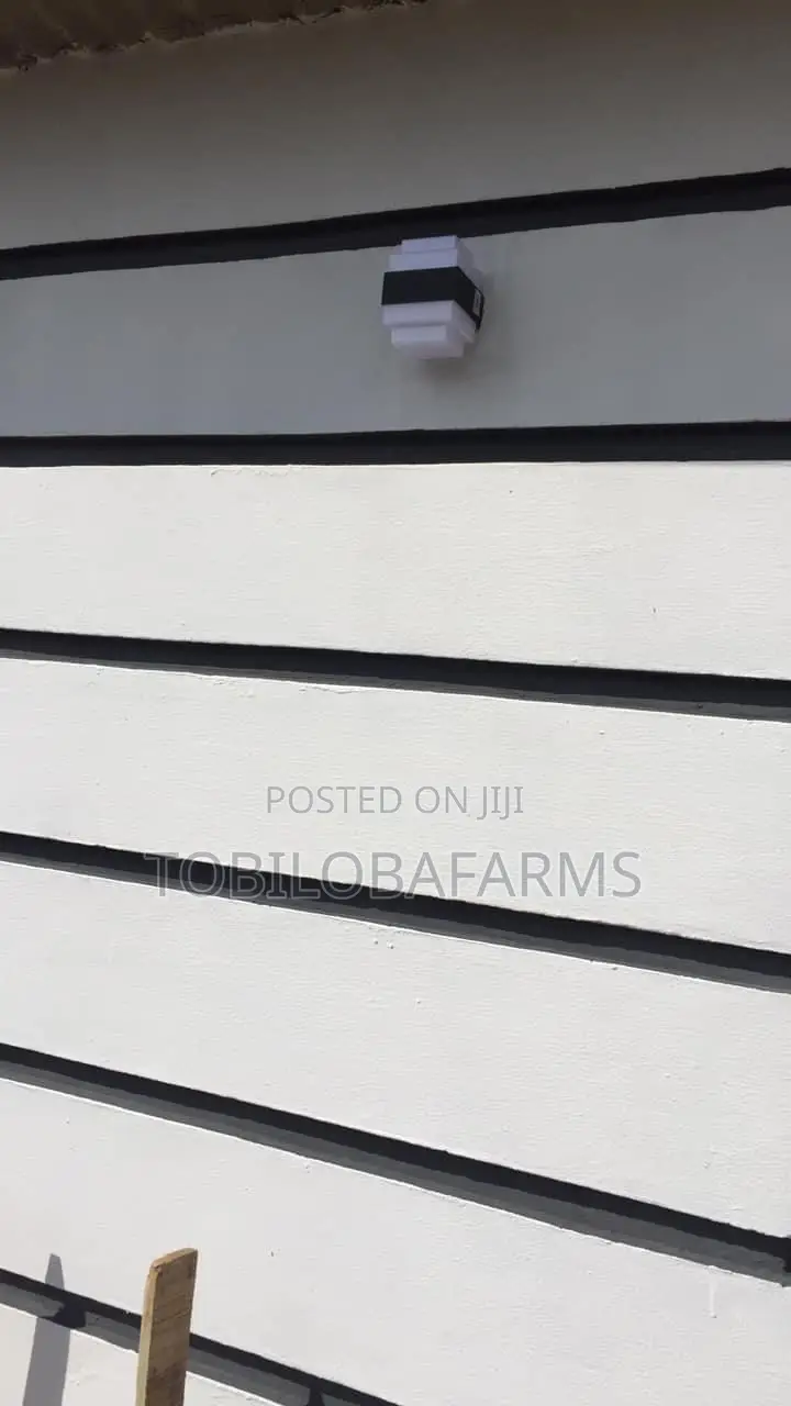 Interior and Exterior Decorations Painting