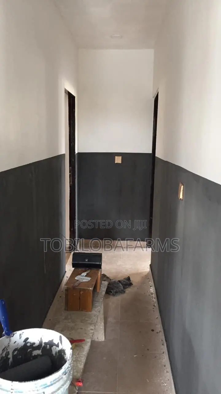 Interior and Exterior Decorations Painting