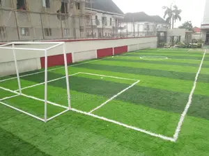 Mini Football Pitch/Playground
