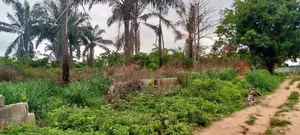 Half Plot and Full Plot
