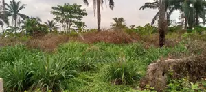 Half Plot and Full Plot