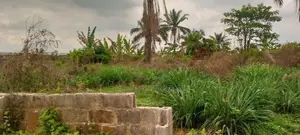 Half Plot and Full Plot