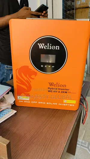 4.2kw 24V Welion Transformer Less Inverter With Warranty