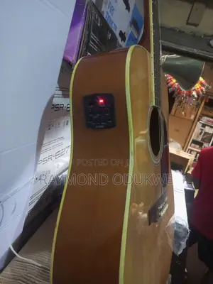 Professional Acoustic Electric Guitar With Inbuilt Effects