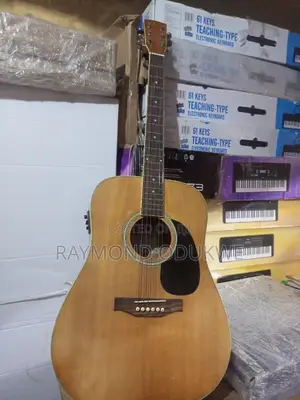Professional Acoustic Electric Guitar With Inbuilt Effects