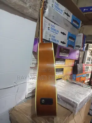 Professional Acoustic Electric Guitar With Inbuilt Effects