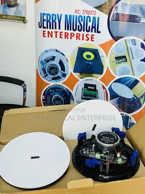 Dart 40watts 2in1 Ceiling Speakers