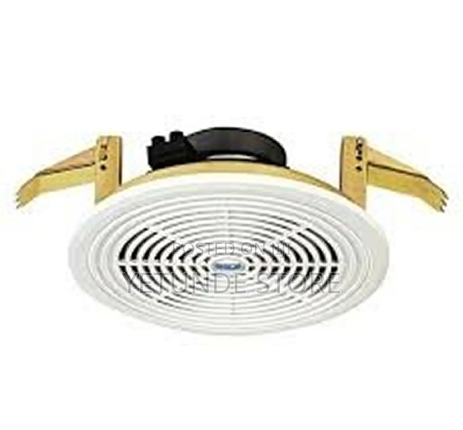 Ceiling Speaker
