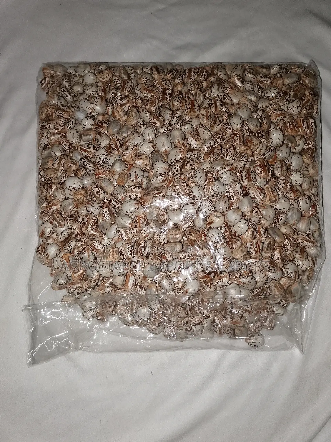 Castor Seeds