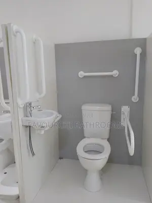 Armitage Shanks Disabled Wc