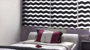 Day and Night Window Blinds