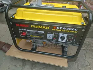 Firman SPG 3000 Copper Coil
