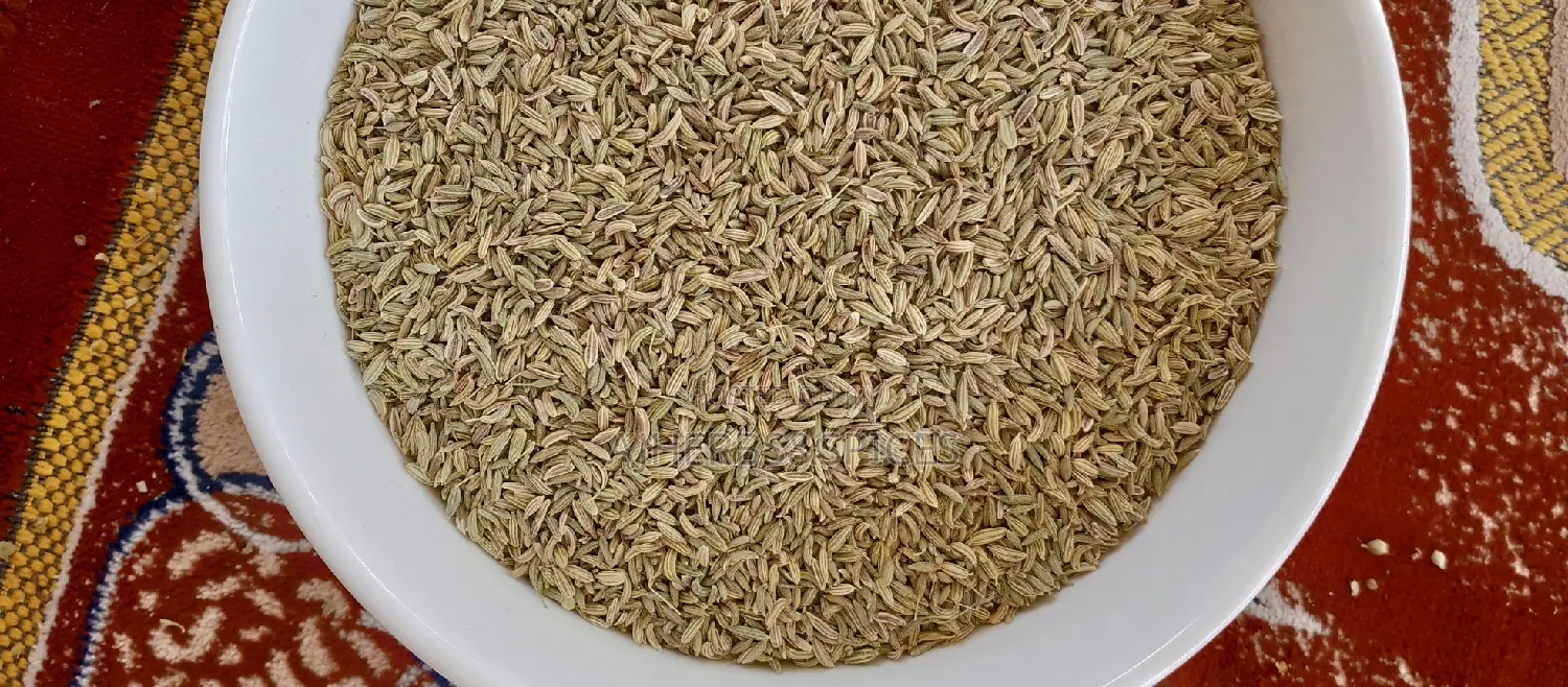 Fennel Seeds