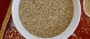 Fennel Seeds
