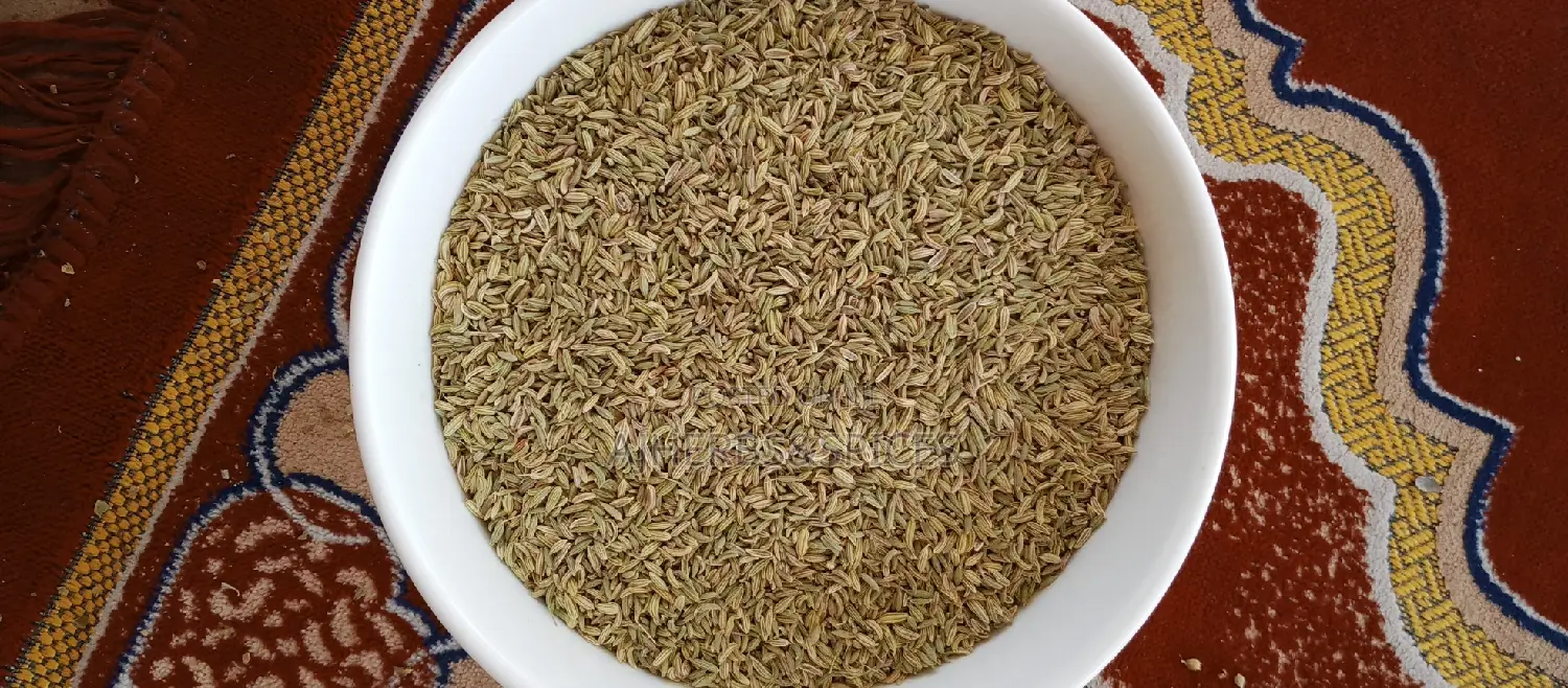 Fennel Seeds