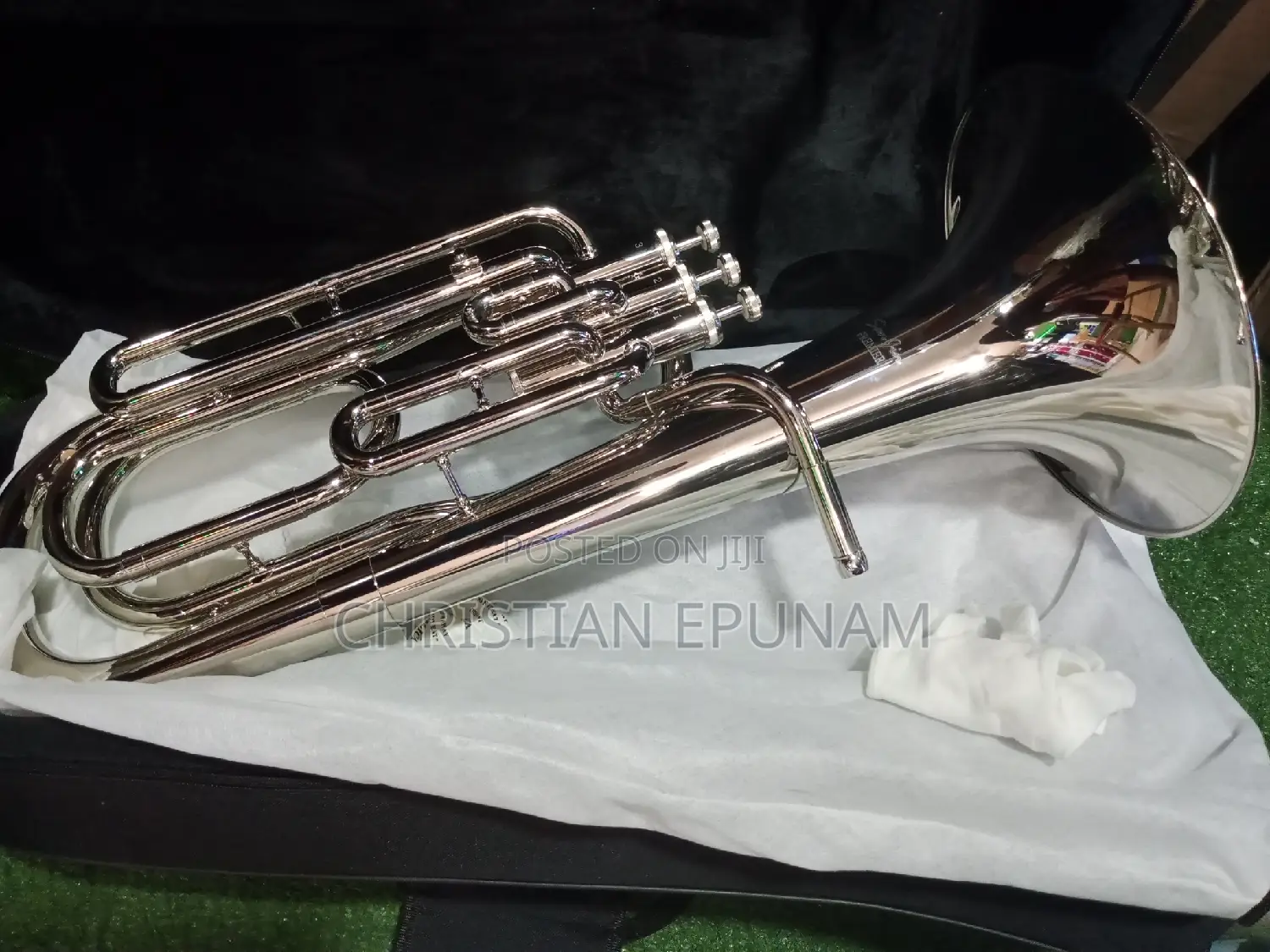 Professional Baritone