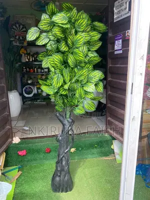 Big Virgos Tree