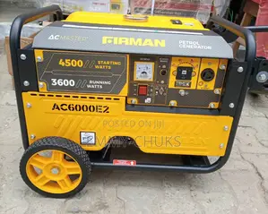 Firman Ac6000e2 Copper Coil Generator