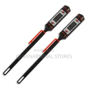 Digital Thermometer for Food Processing