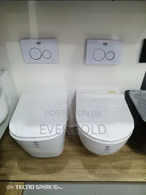 Conceal Water Closet With Original Flushing System