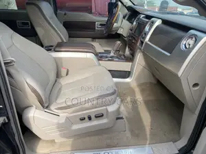 Ford F-150 Platinum 2010 Black