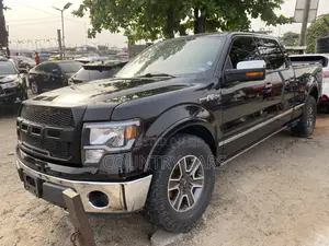 Ford F-150 Platinum 2010 Black