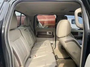 Ford F-150 Platinum 2010 Black