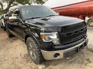 Ford F-150 Platinum 2010 Black