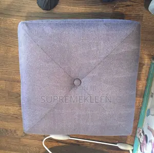 Professional Upholstery Sofa Cleaning Service